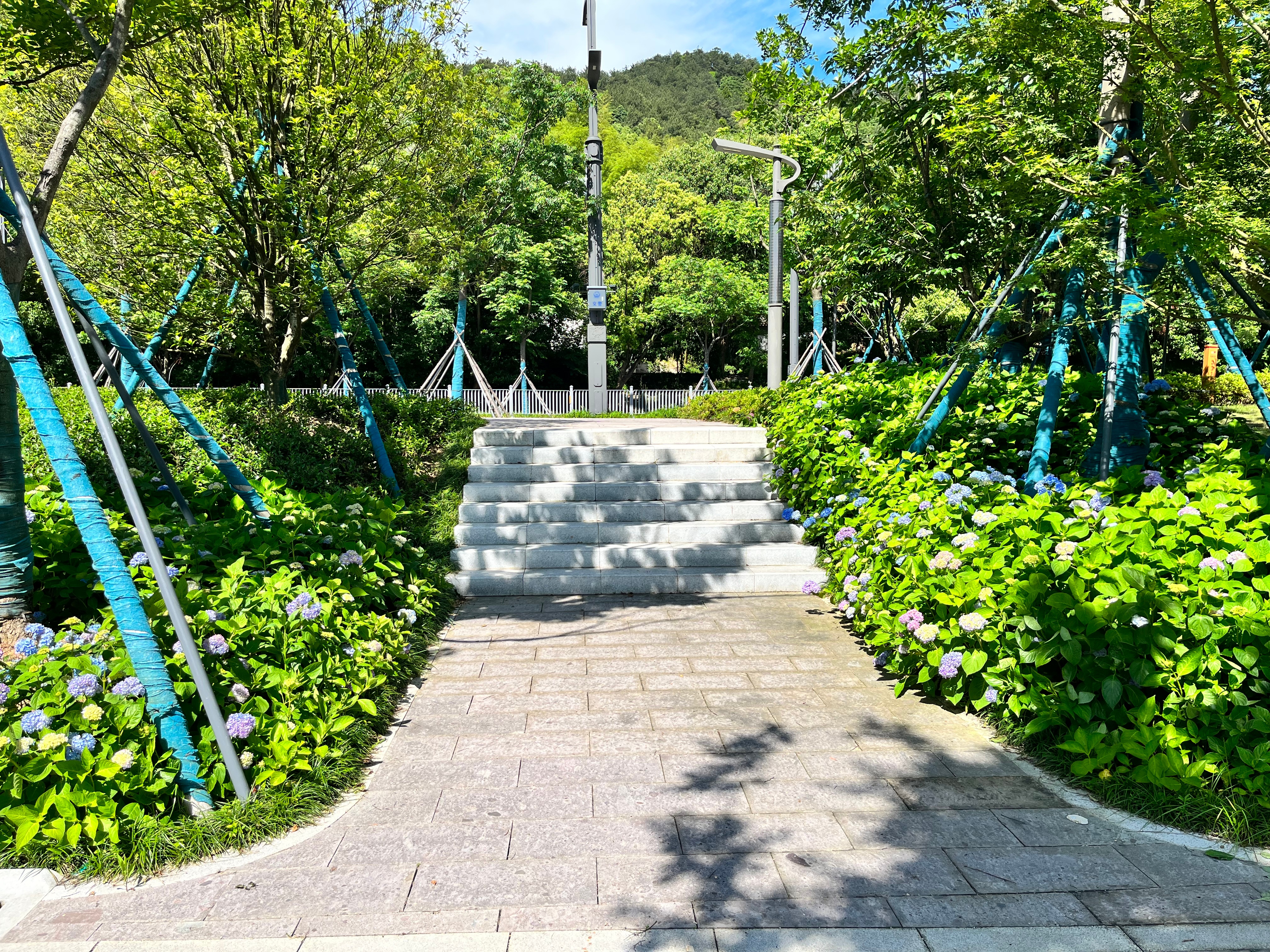 綠化工程主要結(jié)合現(xiàn)狀植被和周邊規(guī)劃道路，重新梳理綠地標(biāo)高。以垂柳、沙樸、烏桕、楓楊等鄉(xiāng)土樹種作為特色植物，營造疏朗野趣、季相分明的湖濱特色植物景觀。.jpg