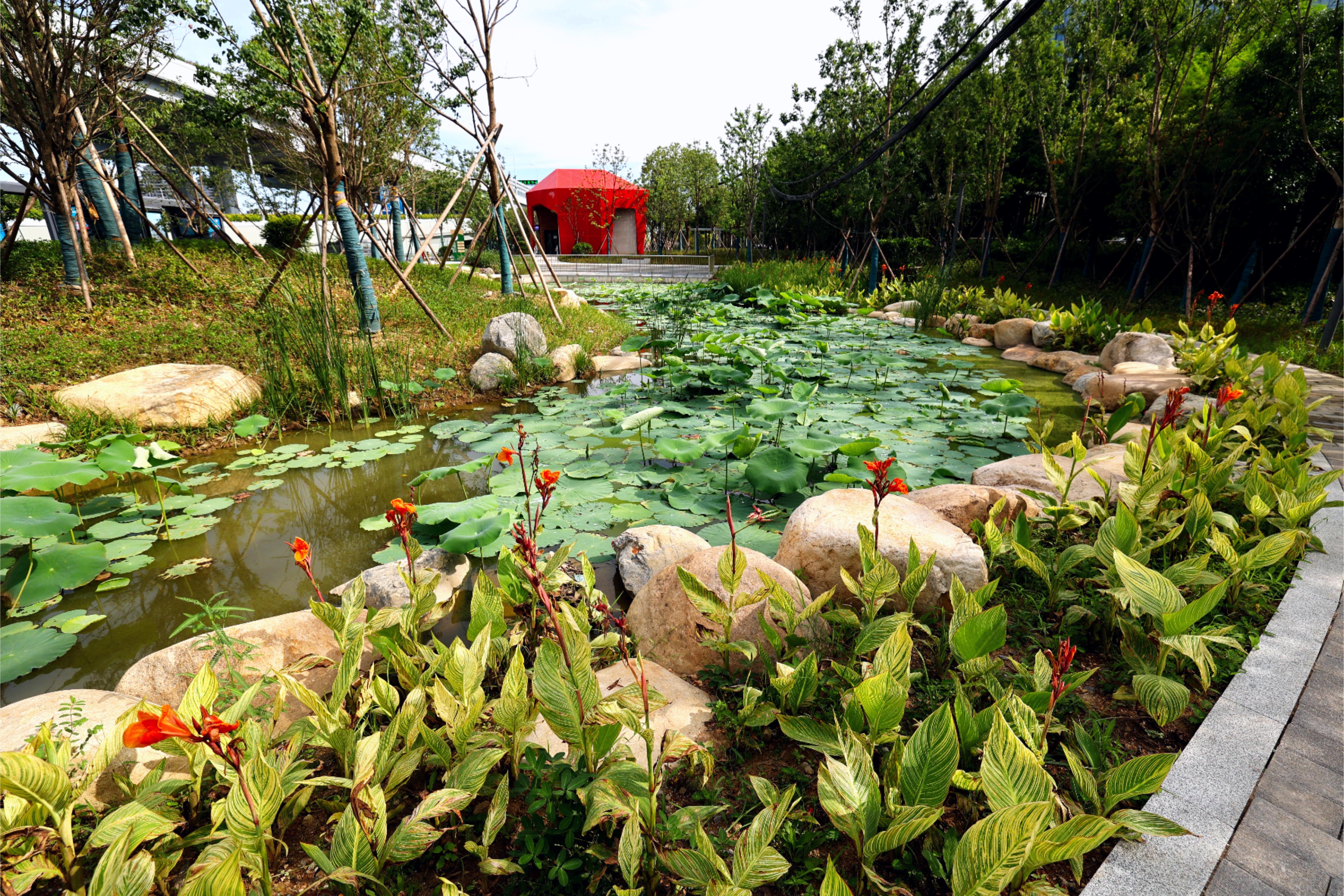 海綿設(shè)計(jì)不僅提升公園景觀質(zhì)量，還具備蓄水、滲水、凈水等功能，實(shí)現(xiàn)水資源的循環(huán)利用，同時(shí)減輕城市排水系統(tǒng)的壓力?.JPG