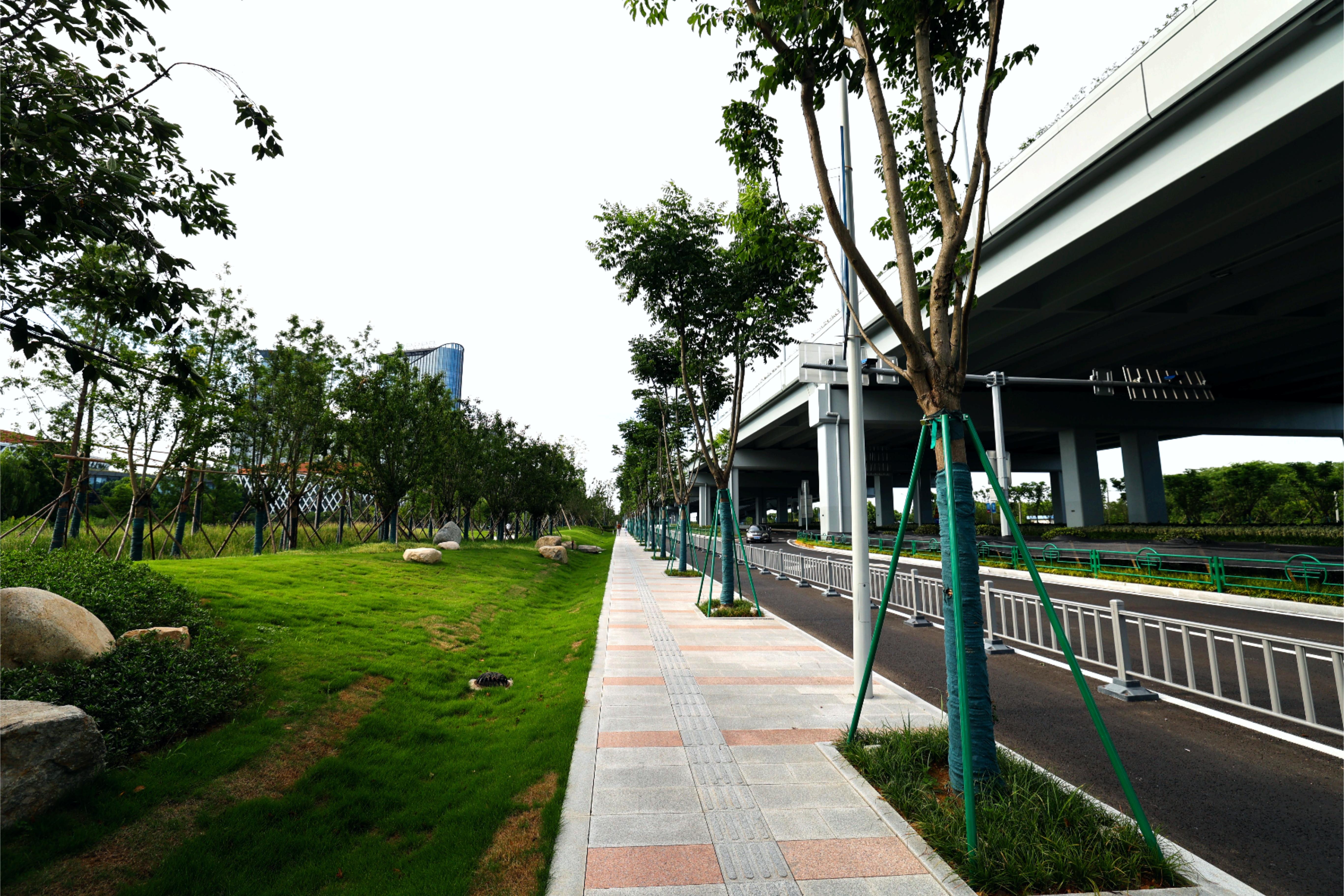 道路綠化如綠色屏障，樹木整齊排列，綠意盎然，為城市增添生機(jī)與美感。它們延伸至遠(yuǎn)方，與天際線交匯，構(gòu)成壯麗畫卷，令人心曠神怡?.JPG